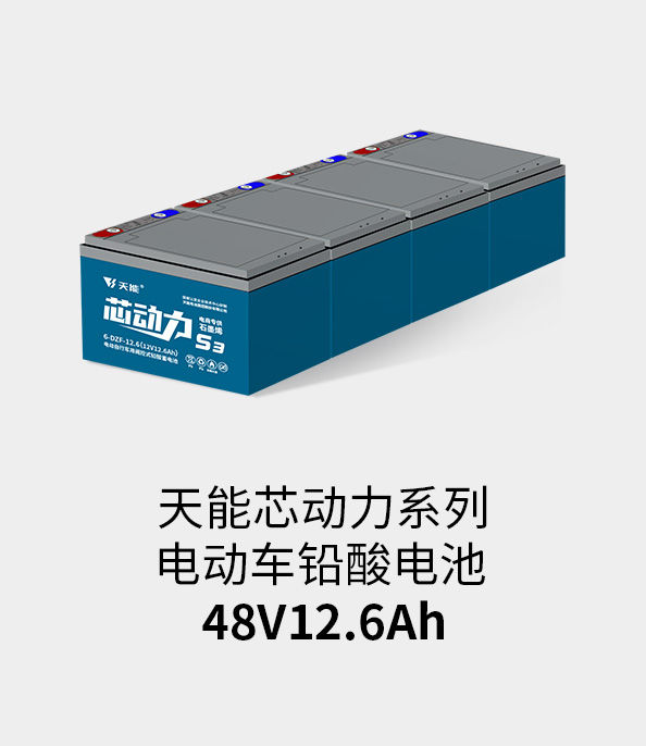 713贵宾会检测线路电池48v12ah